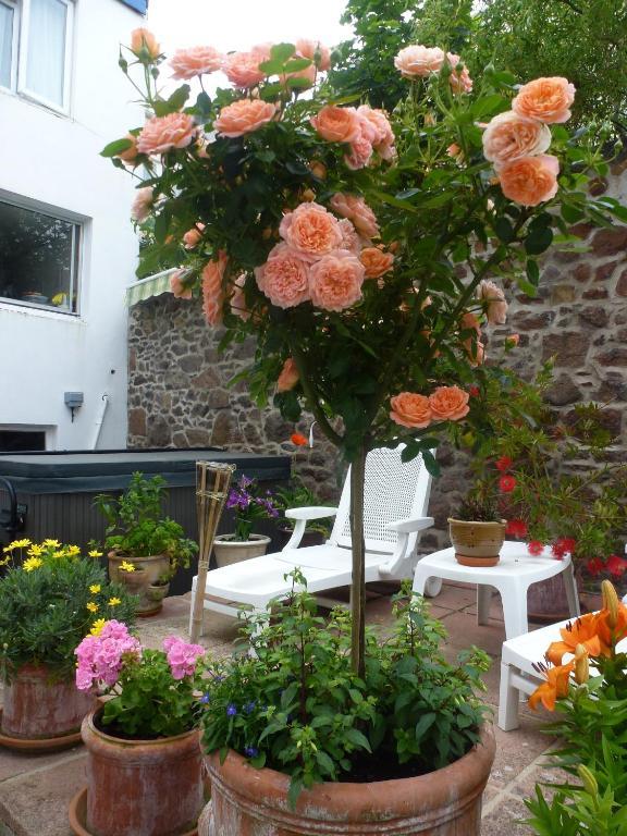Bayview Guest House Saint Helier Exterior photo