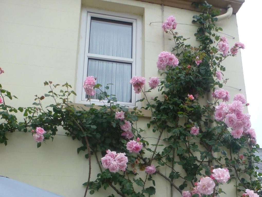 Bayview Guest House Saint Helier Exterior photo